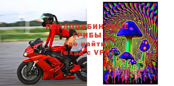 дживик Баксан