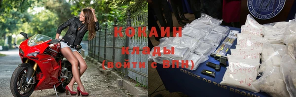 дживик Баксан