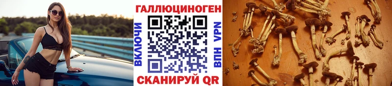 Галлюциногенные грибы Magic Shrooms Гаврилов-Ям