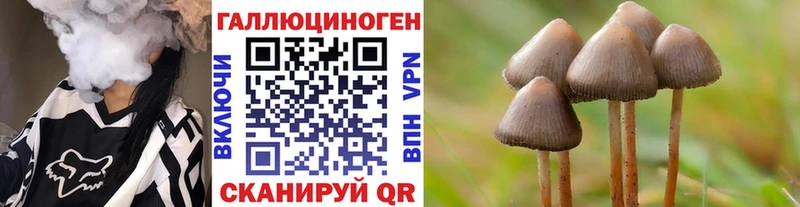 Псилоцибиновые грибы Magic Shrooms Гаврилов-Ям